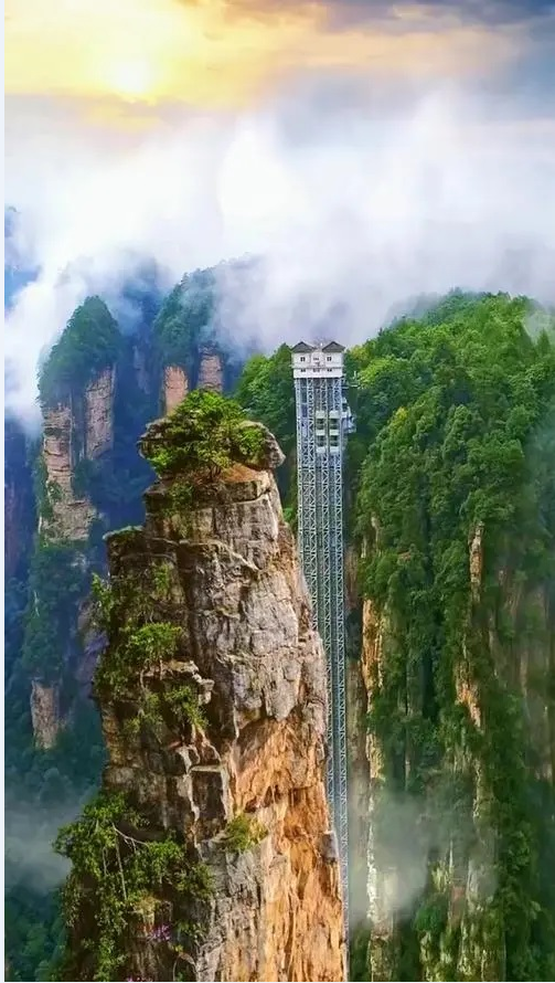 图片.png 图片.png